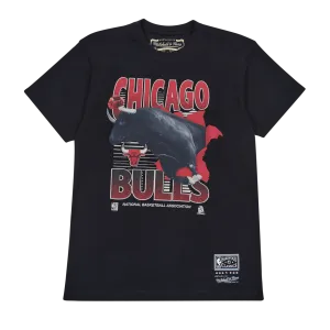 Bulls Scenic Tee
