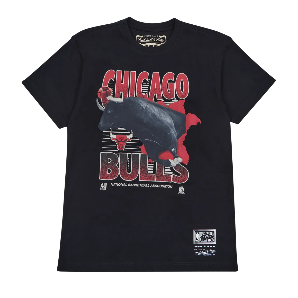 Bulls Scenic Tee